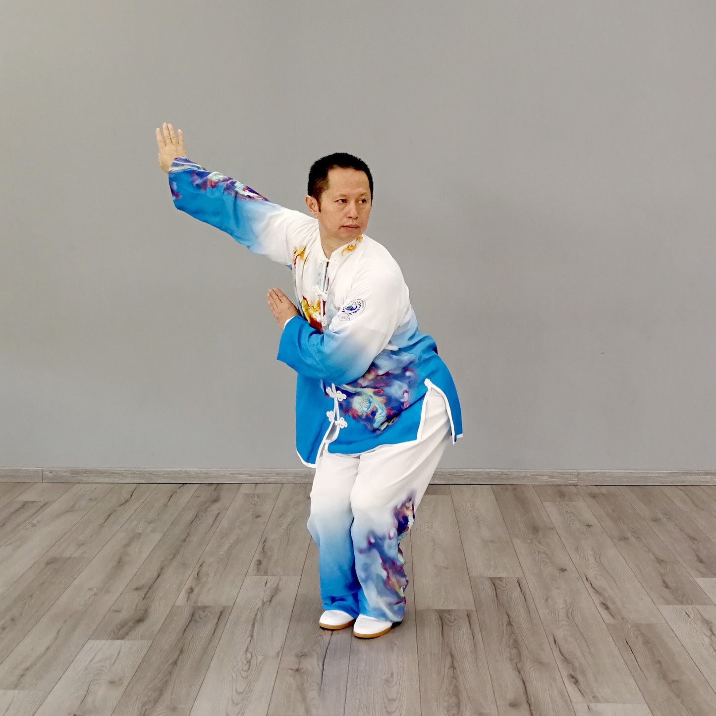 TAI CHI - QI GONG