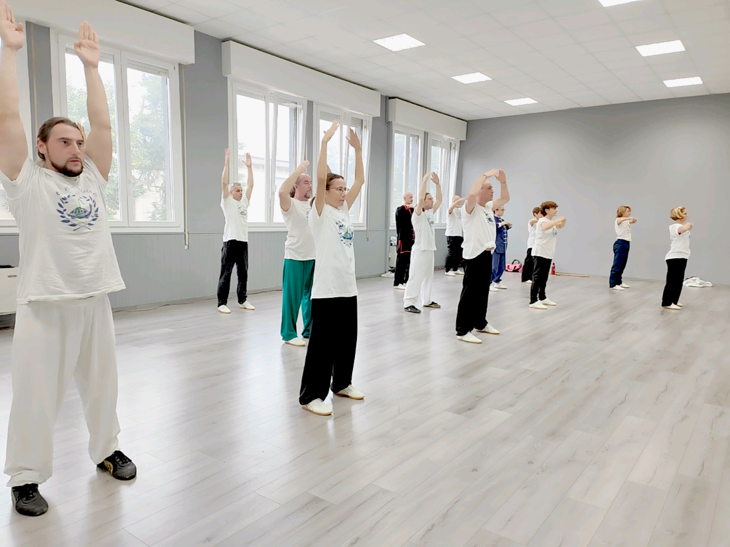 TAI CHI - QI GONG