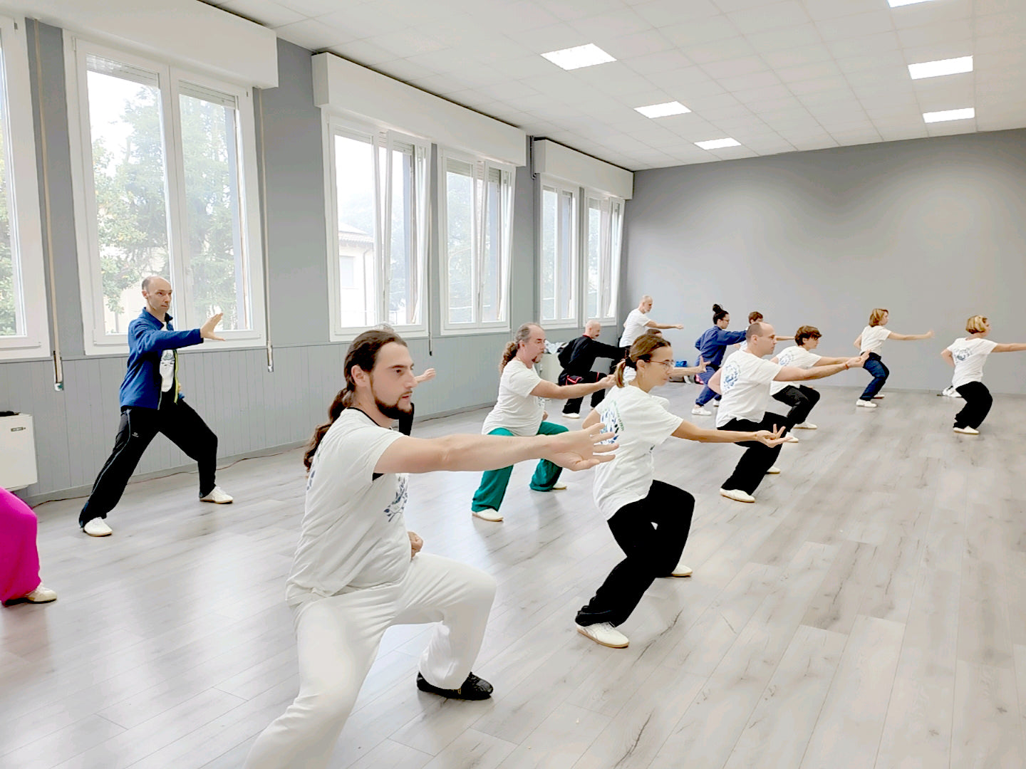 TAI CHI - QI GONG